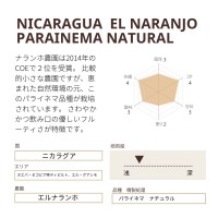 ニカラグア  150 g  隔週　珈琲定期便