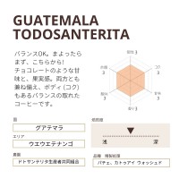 珈琲豆　ギフトボックス　グアテマラ&コロンビア　各200g