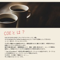 CostaRica COE 2024 H/N 16位  フィンカ ブーFinca Voo