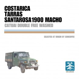 コスタリカ タラス サンタロサ1900 マチョ カツアイ ダブルフリーウォッシュド Costa Ri