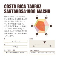 コスタリカ タラス サンタロサ1900 マチョ カツアイ ダブルフリーウォッシュド Costa Ri