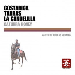 コスタリカ タラス カンデリージャ カトューラ ハニー 中深煎り Costa Rica