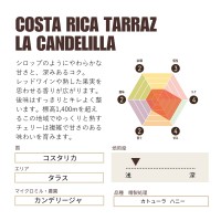コスタリカ タラス カンデリージャ カトューラ ハニー 中深煎り Costa Rica