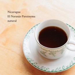 Nicaragua El naranjo Parainema Natural ニカラグアエルナランホ
