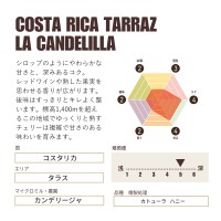 コスタリカ タラス カンデリージャ カトューラ ハニー 中深煎り Costa Rica