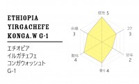 香り高し　!エチオピア 隔週150g 珈琲定期便