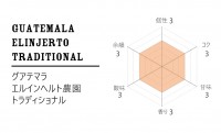 グアテマラ エルインヘルト農園 トラディショナル