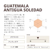 グアテマラ アンティグア　ソレダー